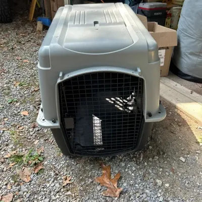 Petmate Dog Carrier