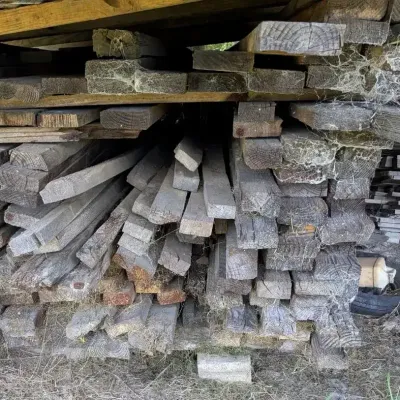 Pine Lumber Including 12 Ft. Boards