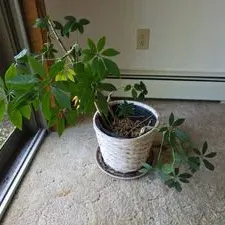 Sale Photo Thumbnail #113