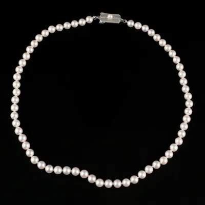 Sale Photo Thumbnail #62