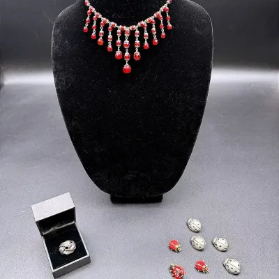 Ladybugs, Feathers And A Fringe Necklace