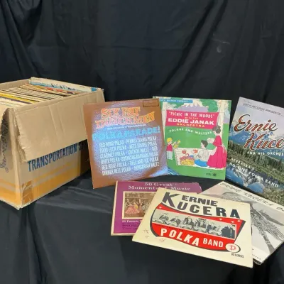 100+ Vintage Vinyl Records Collection-Rare Polka, Czech, German & Classic Music LPs 