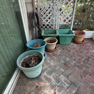 Sale Photo Thumbnail #109