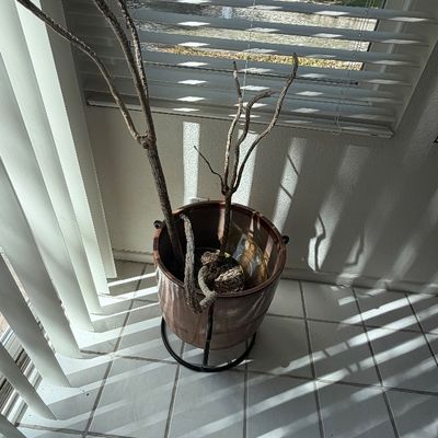 Sale Photo Thumbnail #113