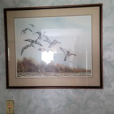 Sale Photo Thumbnail #330