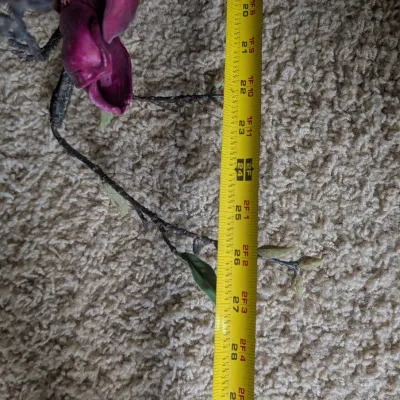 Long Stemmed Flower Centerpieces