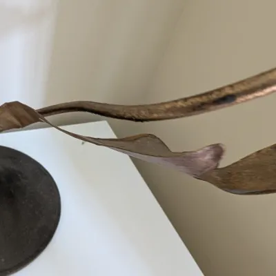 Uttermost Forged Metal Flower