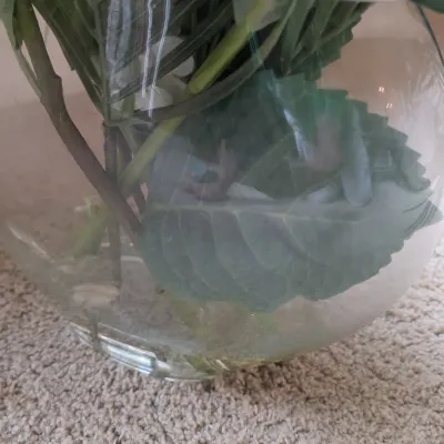 Floral & Botanical Centerpieces & Bases