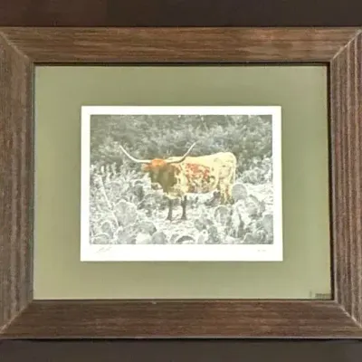 Picture/Print Of Long Horn MONG CACTUS, Signed & Numbered