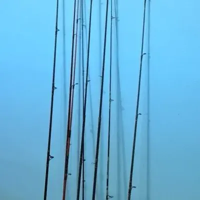 8 Fishing Poles - 5/8 have reels 