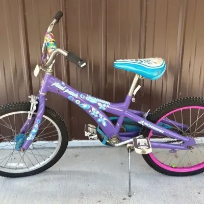 Schwinn Petal Patch girls' 20-inch single-speed bicycle