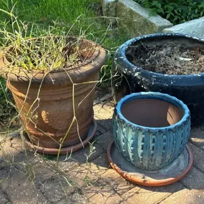 Patio Pots - Terracotta & Glazed