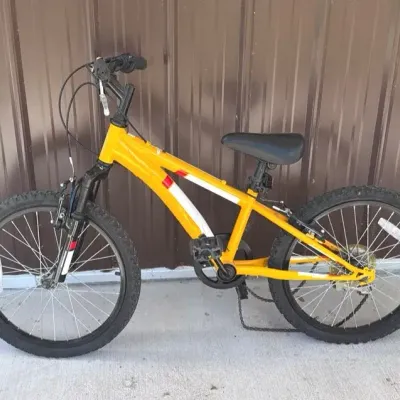 Diamondback Cobra 20 youth mountain bike
