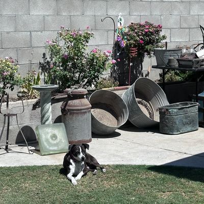Sale Photo Thumbnail #182