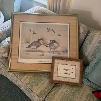 Pair of Framed Canada Goose Wildlife Prints – “Canada at Hope Pond” & Flying Geese