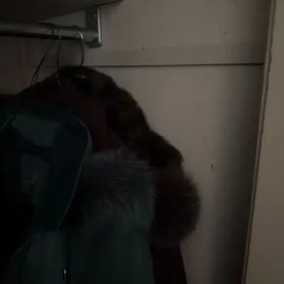Women’s Faux Fur & Fur-Trimmed Winter Coat Lot