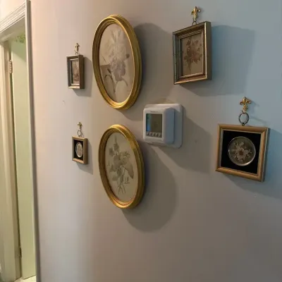 Vintage Floral Wall Art Collection – Gold-Tone Frames & Fleur-de-Lis Hangers
