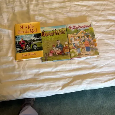 Humorous Southern Fiction Book Lot – Ann B. Ross, Anne George & More