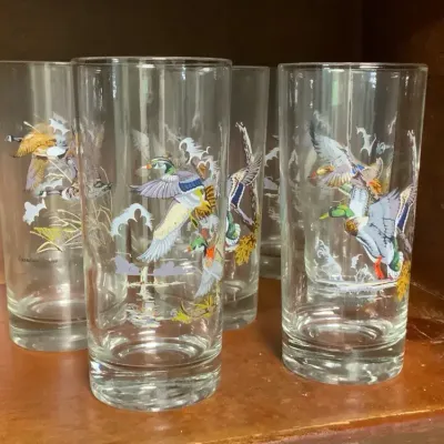 Set of 6 Vintage Waterfowl Drinking Glasses – Mallard & Canadian Goose Designs
