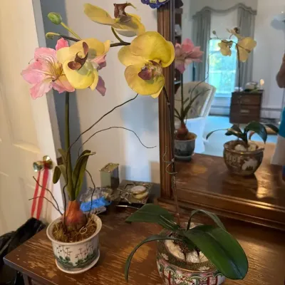 Decorative Faux Orchid & Amaryllis Floral Arrangements in Asian-Style Pots