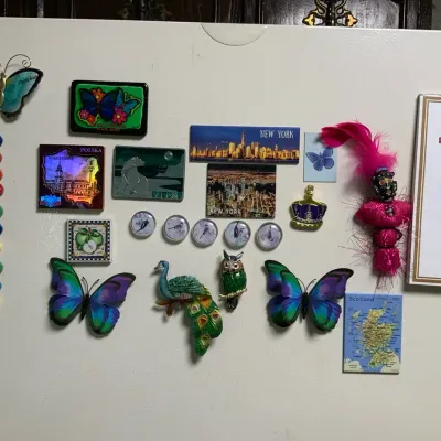Assorted Decorative Refrigerator Magnets – Travel, Butterflies, Peacock & More