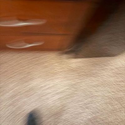 Sale Photo Thumbnail #55