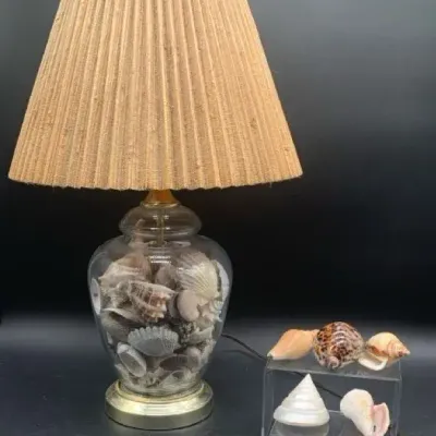 Unique Table Lamp with Sea Shells in Base