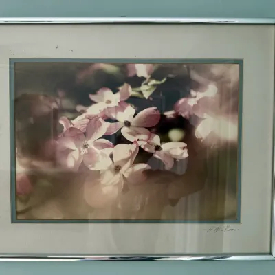 Sale Photo Thumbnail #28