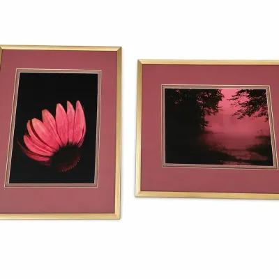 Mavis Flora DeVoe Photographs - Pair of Framed “Natural Images” Floral & Landscape