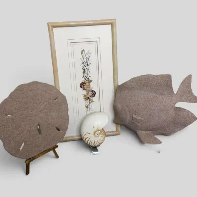 Coastal Seashell Decor Collection with Sand Dollar, Fish & Alexander Shell Art