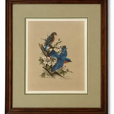 Roger Tory Peterson Signed & Numbered Bluebird Print 232/950 