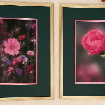 Mavis Flora DeVoe Photographs - Pair of “Natural Images” Framed Floral Photos