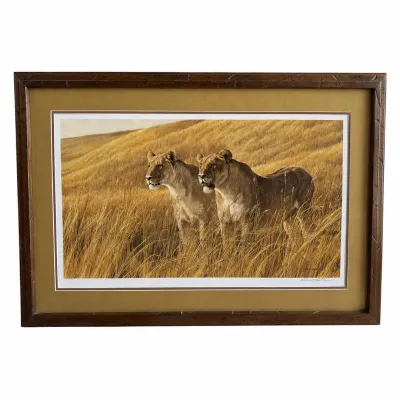 Robert Bateman Signed Limited Edition “Lionesses” Wildlife Print  1977 