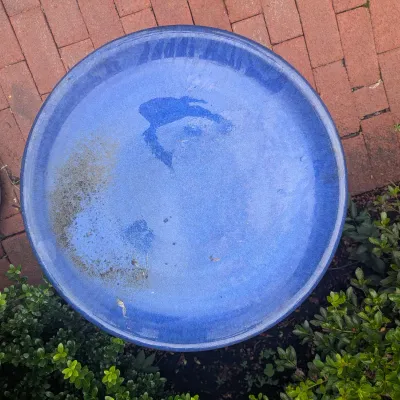 Sale Photo Thumbnail #35: Bird Bath Top