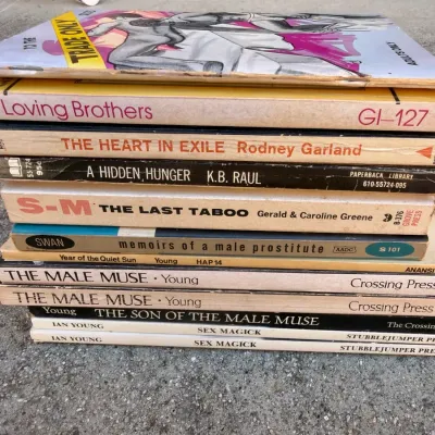 Vintage LGBTQ+ & Gay Interest Pulp Paperback Book Lot (including Signed By Ian Young)