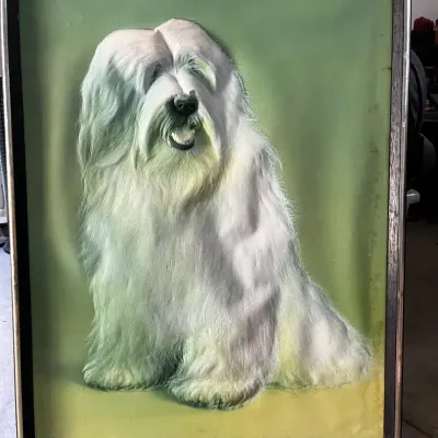 Vintage 1977 Nova Rico 3D Framed Dog Art