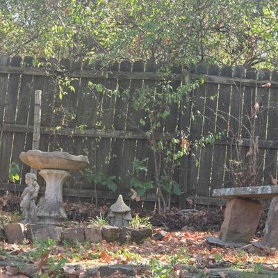 Sale Photo Thumbnail #148