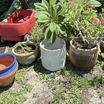 Sale Photo Thumbnail #125