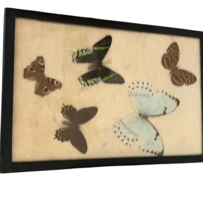 Sale Photo Thumbnail #9