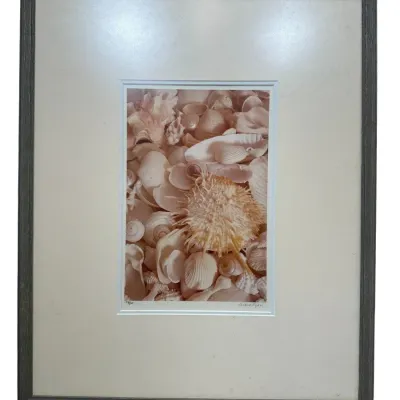 Sale Photo Thumbnail #119
