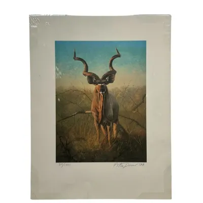 Sale Photo Thumbnail #171