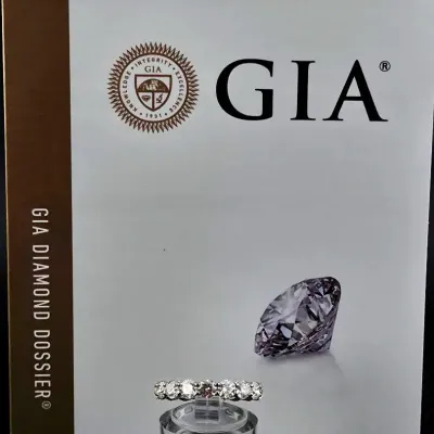 GIA 3.18ctw Natural Diamond Platinum Eternity Ring W/ Report