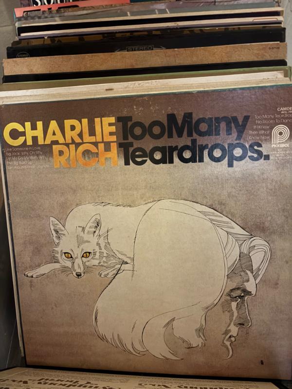 Sale Photo Thumbnail #487
