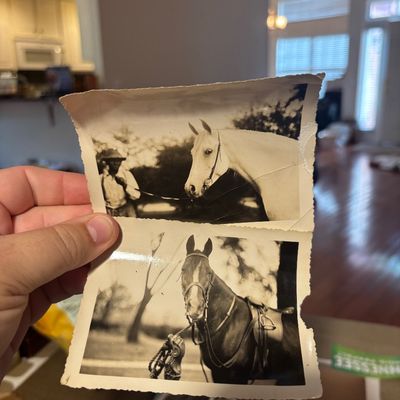 Sale Photo Thumbnail #28