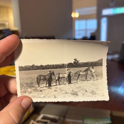 Sale Photo Thumbnail #14