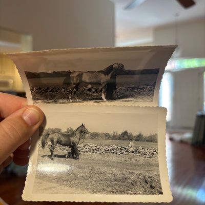 Sale Photo Thumbnail #22
