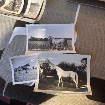 Sale Photo Thumbnail #30