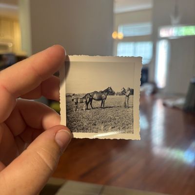 Sale Photo Thumbnail #18