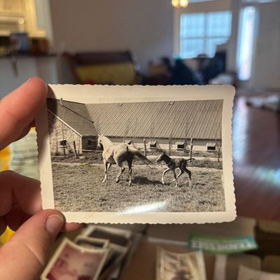 Sale Photo Thumbnail #11