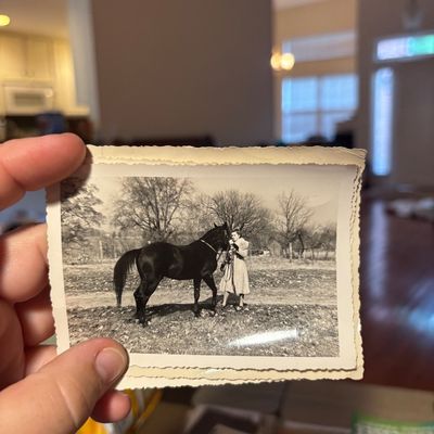 Sale Photo Thumbnail #31